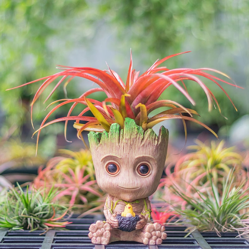 Groot adorable cadeau de décoration, pour petites plantes ou objets divers